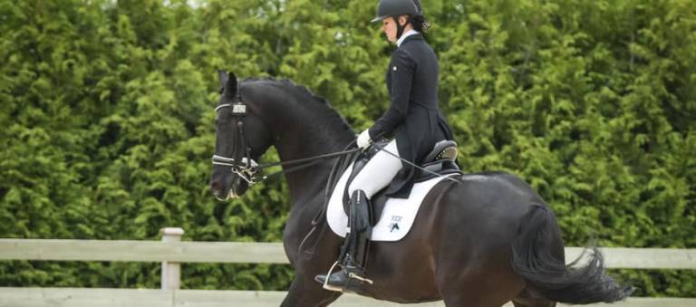 Ashley Moore and Bjorn H warming up for Grand Prix dressage.
