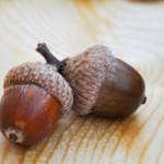 thumnail