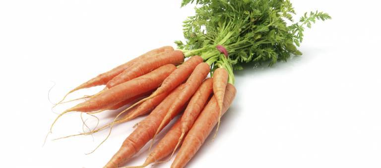 Bunch of carrots