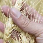 thumnail