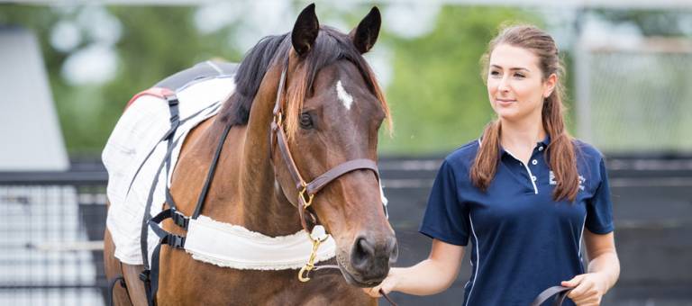 KER Intern Leading Research Horse
