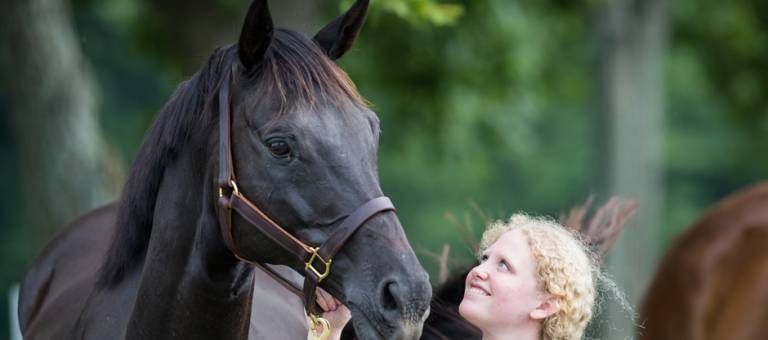 KER Research Horse Pepe