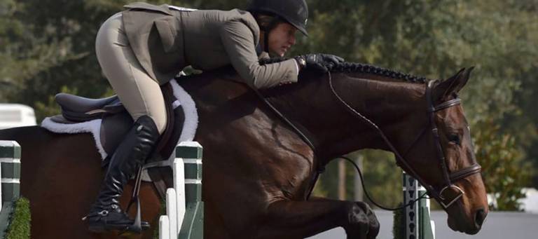 Robin Swinderman Mitchell jumping over a fence at a hunter show.
