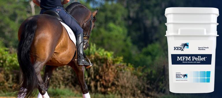 MFM Pellet equinews header