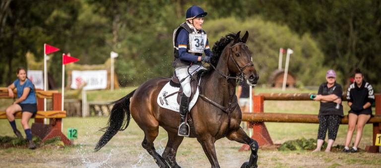 Phillipa Magnum Galloping on Cross-Country