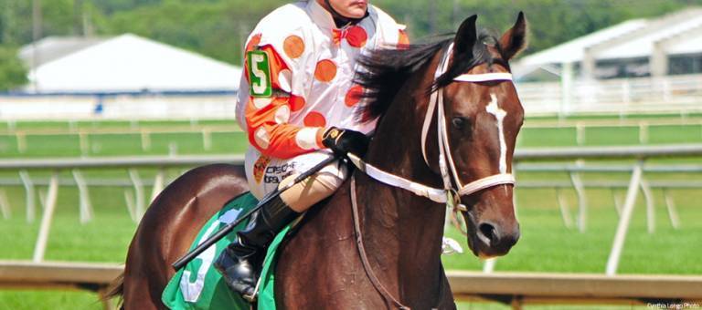 He's Pretty Clever trained by Susan Cooney
