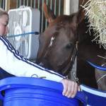 Woman feeding a horse in a stall