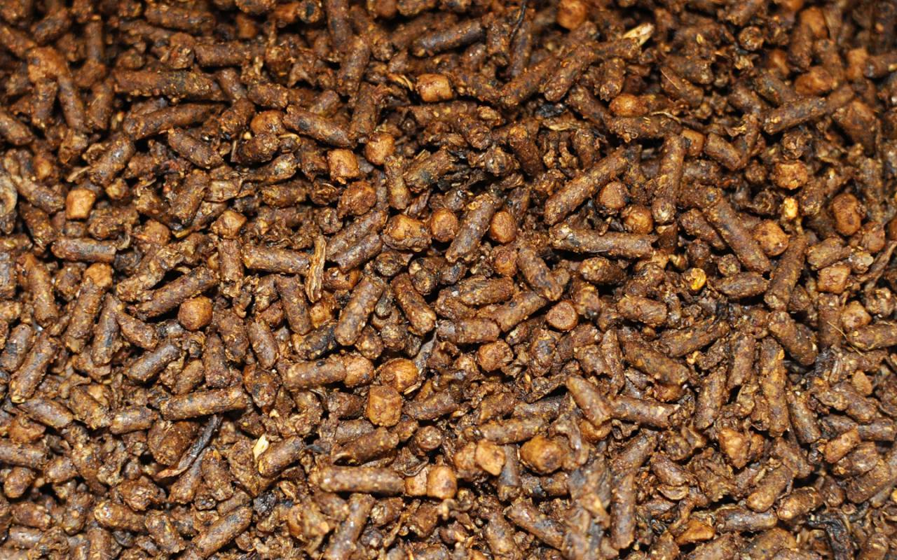 Close-up of textured feed